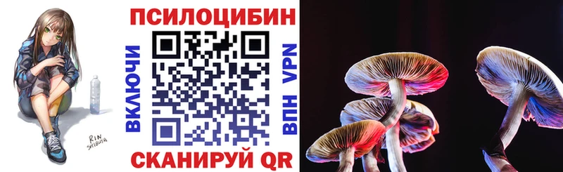 Псилоцибиновые грибы прущие грибы  Горно-Алтайск 